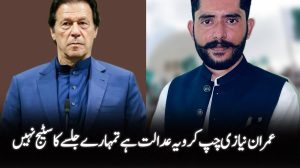 Safdar Noorani against Imran Khan 